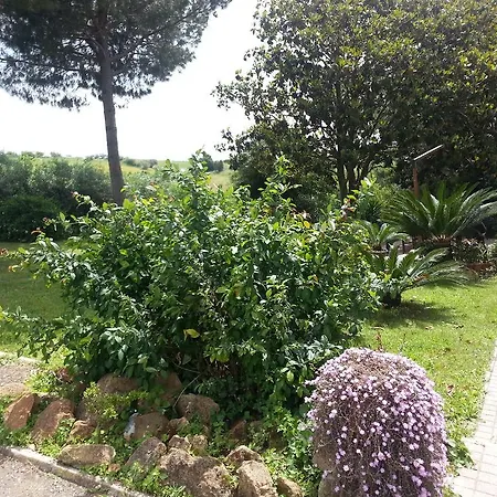 La Finestra Sul Cortile-3